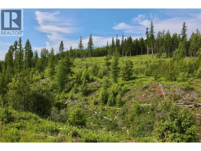 2375 BELCHROME FSR Road Bridesville, British Columbia in Land for Sale in Penticton - Image 4