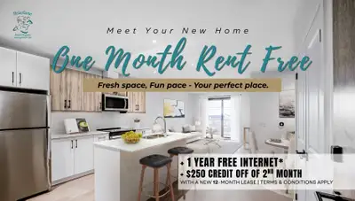 Promo on Now! Lease one of our Brand New 1 or 2 Bedroom Apartments and receive your First Month Rent...