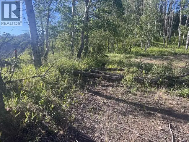 LOT 7 253 ROAD Fort St. John, British Columbia in Land for Sale in Fort St. John - Image 10