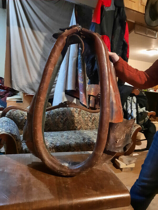 Pulling Collar in Equestrian & Livestock Accessories in Annapolis Valley - Image 2