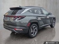 *CLEAN CARFAX, APPLE CAR PLAY, ANDROID AUTO, PANORAMIC MOONROOF, DUAL-ZONE CLIMATE CONTROL, POWER LI... (image 5)