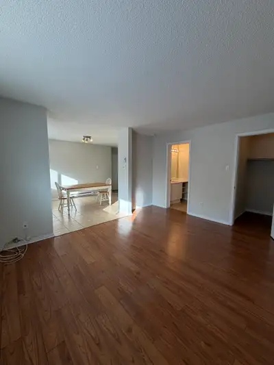 Studio à louer - 1100$/mois - Rue de la Futaie, Gatineau Découvrez ce charmant studio lumineux et fo...