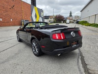 Sun out, top down, and summer calling your name. This 2012 Ford Mustang Club of America Premium V6 C... (image 4)