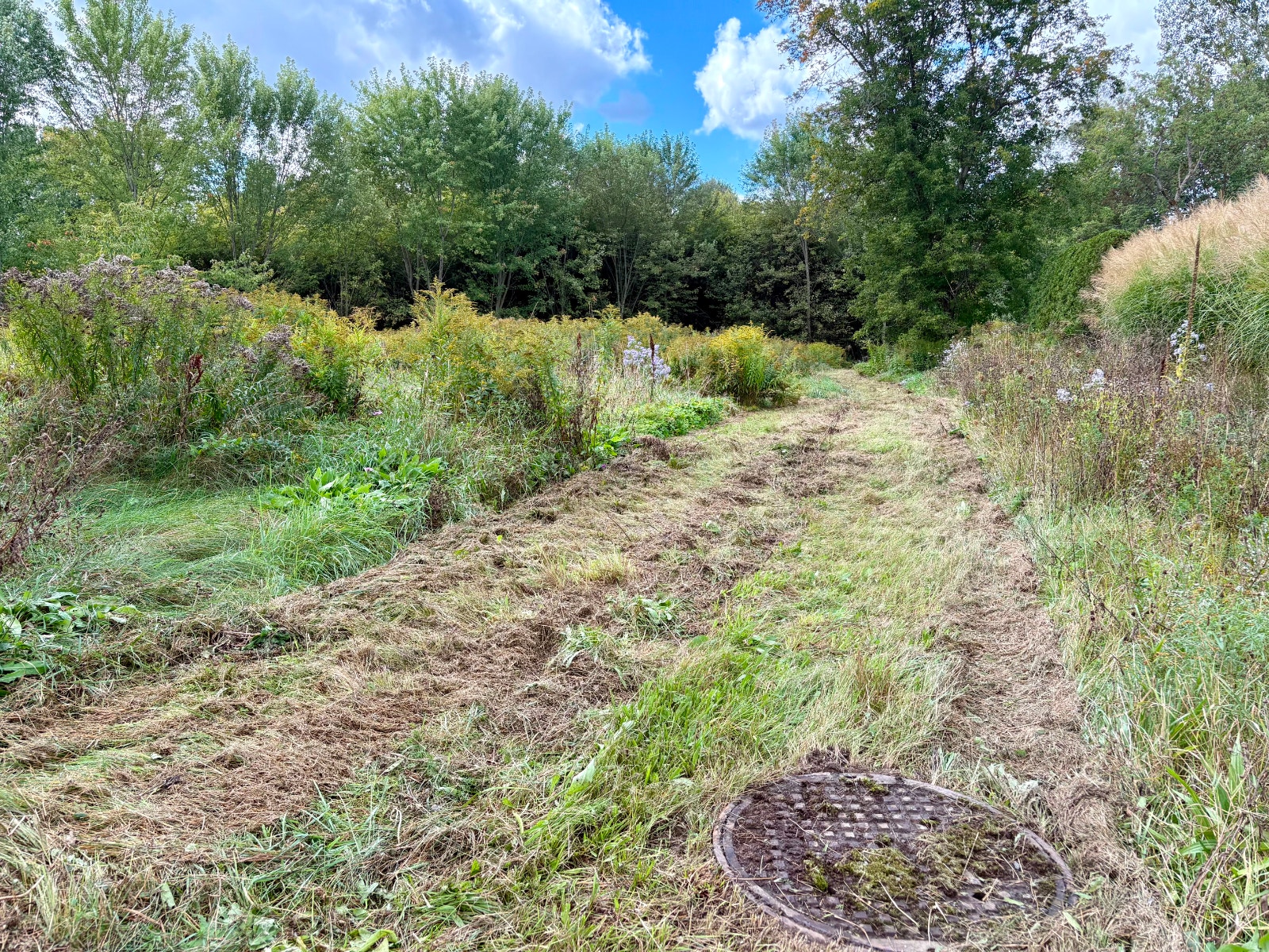 Terrain à vendre à Sutton – Bordé par la rivière– Village à pied — photo 2