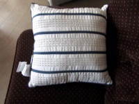Set of Two (2) Assorted Square Accent Cushion Pillows