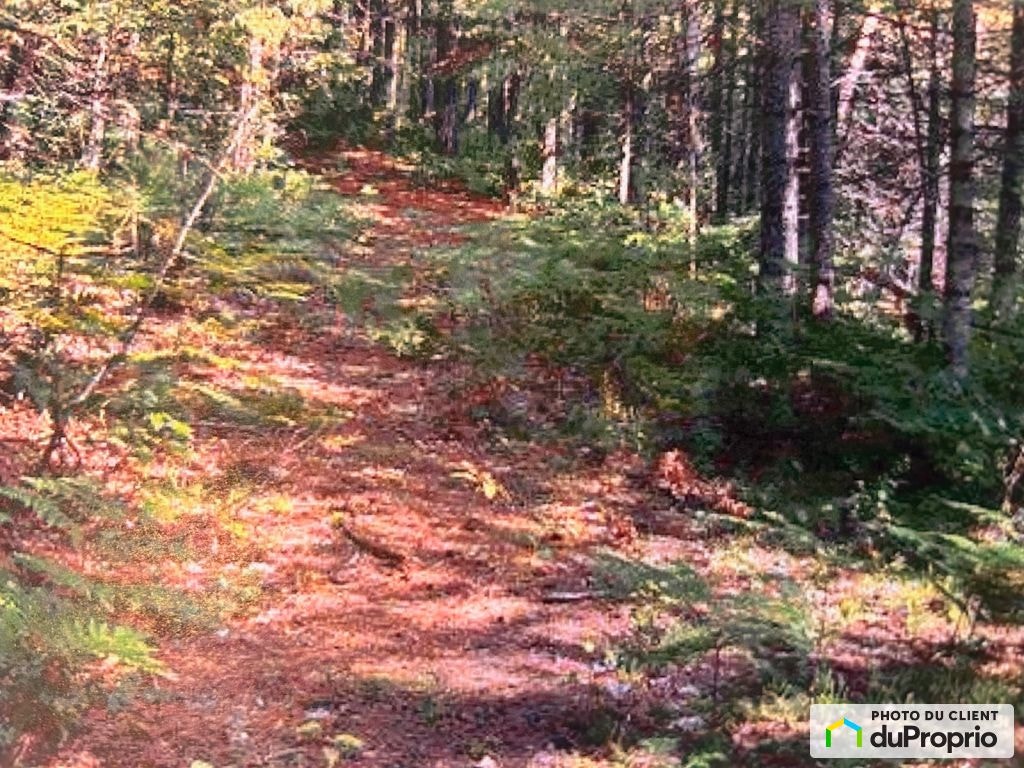 $137,500 - Residential Lot for sale in Mandeville — photo 2