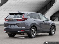Come visit our London Kia team, you can find us at 1135 Wharncliffe Rd S, London, ON N6L 1J9, or cal... (image 4)