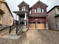 Brand New Executive 4 Bedroom Home in Ayr!