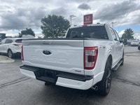 Come visit our Sterling Honda team, you can find us at 1495 Upper James Street, Hamilton, ON L9B 1K2... (image 4)