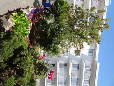 1 Bedroom Apartment for Rent - 1180 Esquimalt Rd