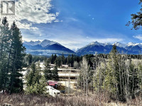 11974 ESSEN ROAD Valemount, British Columbia