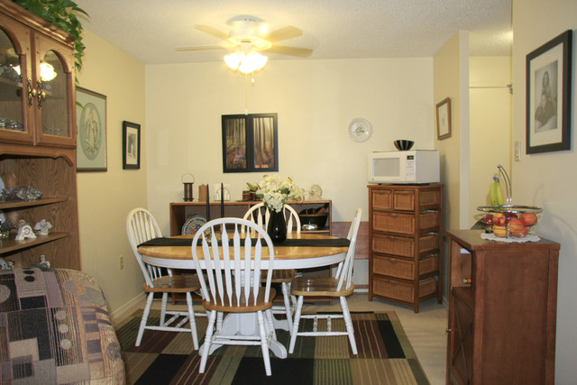 MUST SEE 2 bedroom apartment for rent in Owen Sound! in Long Term Rentals in Owen Sound - Image 4
