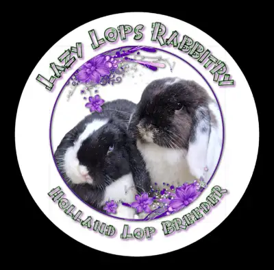 Lazy Lops Rabbitry is an ARBA registered breeder of purebred pedigree Holland Lops. We are a CLOSED...