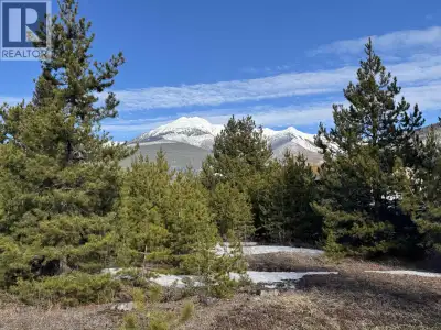 Truly the best deal in town! Residential lot in the heart of Valemount. Municipal water and sewer av...