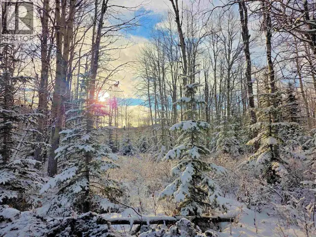 FRAC N1/2 DL 2557 BINTA ROAD Burns Lake, British Columbia in Land for Sale in Burns Lake - Image 2