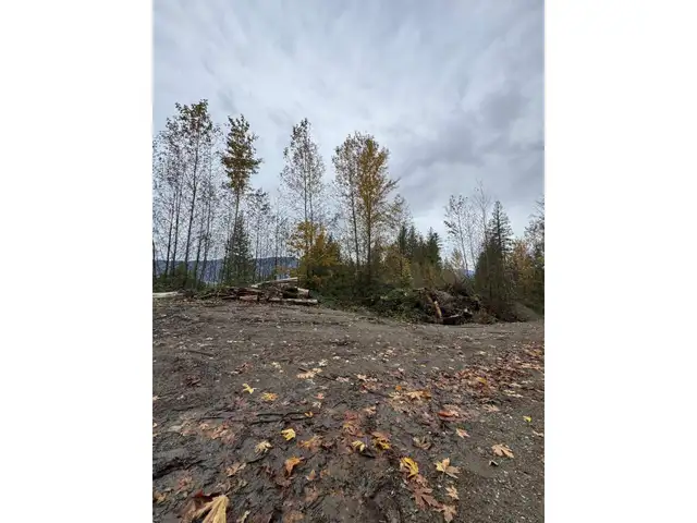 41768 BOWMAN ROAD, Vedder Mountain Yarrow, British Columbia in Land for Sale in Chilliwack - Image 19