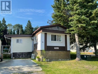 9 Arbourjade Trailer Park 638 McGogy RD Dryden, Ontario