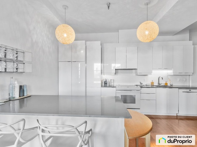 $515,000 - Condominium for sale in South-West Montreal — photo 3