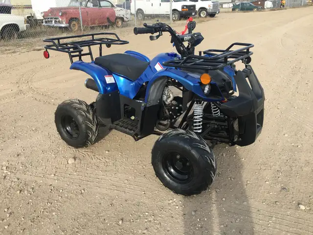 2025 BRAND NEW GIO BLAZER 125 ATV / QUAD / in ATVs in Brandon - Image 2