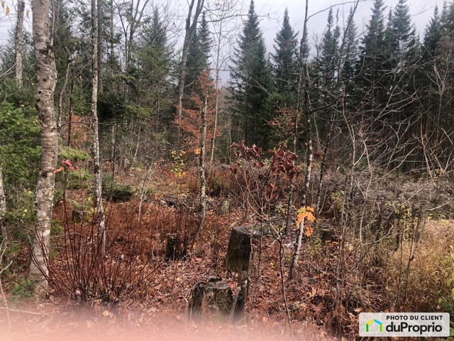 $150,000 - Residential Lot in Mont-Blanc (St-Faustin-Lac-Carré) — photo 1