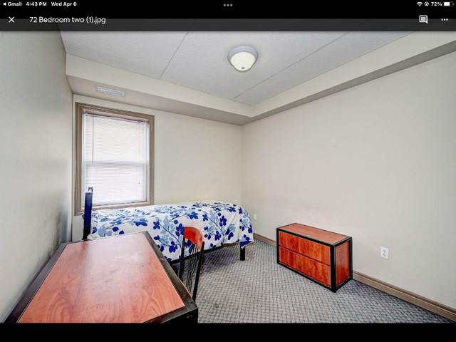 Room for rent for students or young professionals in Short Term Rentals in Kitchener / Waterloo