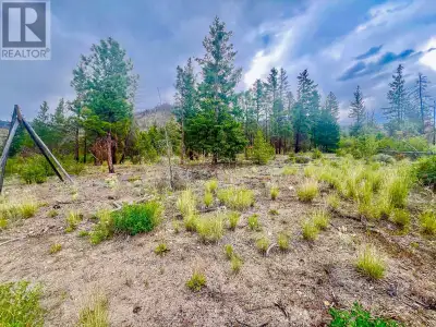 Court-Ordered Sale – 44.48 Acres Just 20–25 Minutes from Merritt! This 44.48-acre propertyoffers a g...