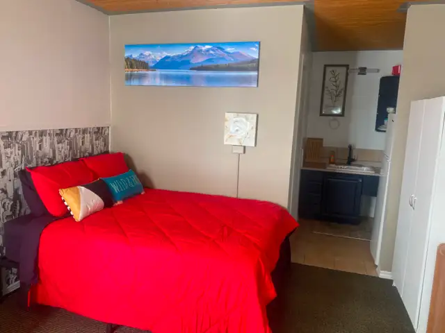 $1000 All in! Furnished Kitchenette Apartment in Long Term Rentals in Edmonton - Image 12