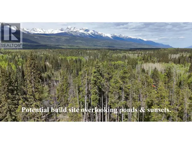 LOT A 3840 BRYAN ROAD Valemount, British Columbia in Land for Sale in Quesnel - Image 6