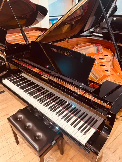 PIANO YAMAHA C3X (2017), View more