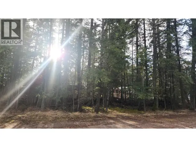 938 23 Highway Nakusp, British Columbia in Land for Sale in Nelson - Image 6