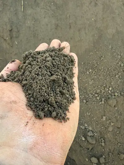 Screened & Unscreened Topsoil for Sale We’re offering rich clay‑loam topsoil ideal for yards, acreag...