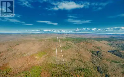 Beautiful 30-acre parcel of raw land featuring a mix of mature hardwood and softwood trees. This pri...