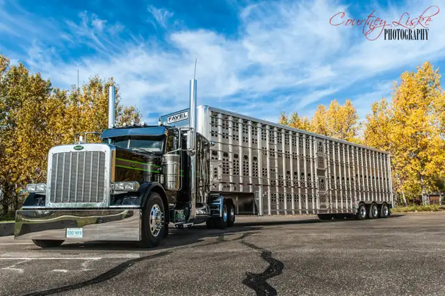 Owner Operator - Livestock Division in Drivers & Security in Moose Jaw - Image 4