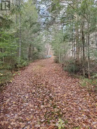 29 Acres Across from Ril Lake - Cabins, Gazebo & Crown Land Access. A great Muskoka getaway! This 29...