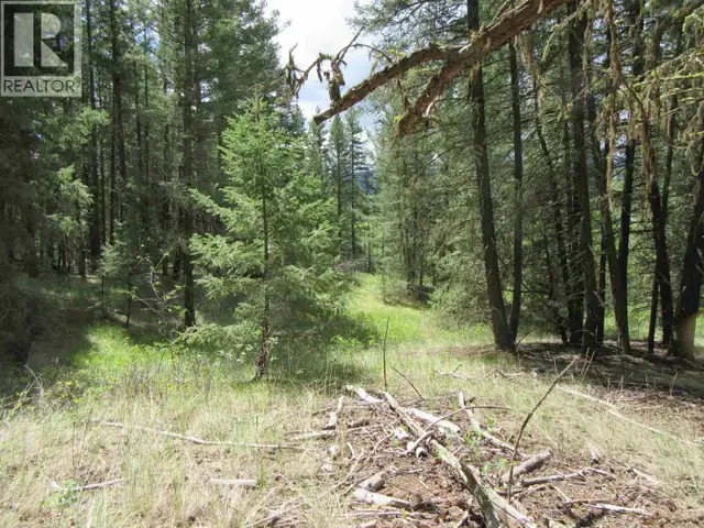 DL 2808 DONOVAN ROAD Lac La Hache, British Columbia in Land for Sale in 100 Mile House - Image 14
