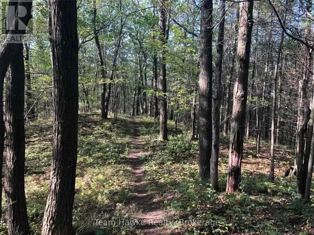 358 GOLF COURSE ROAD Wasaga Beach, Ontario in Land for Sale in Oakville / Halton Region - Image 3