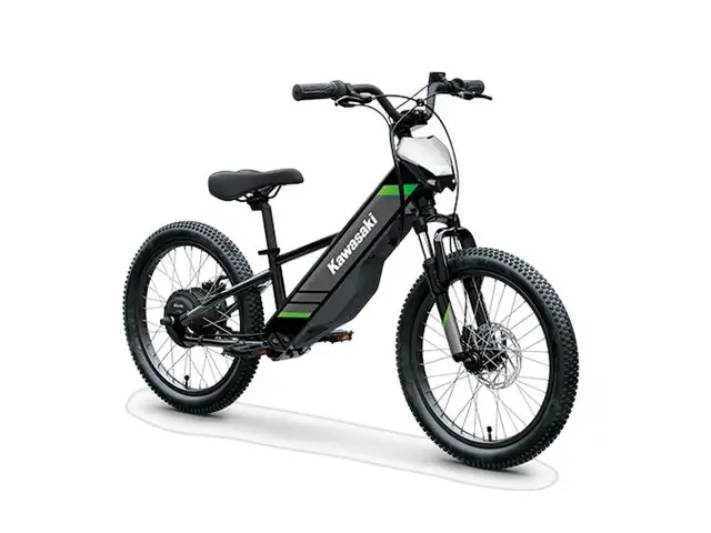 2025 Kawasaki Elektrode 20 in Dirt Bikes & Motocross in Brantford - Image 21