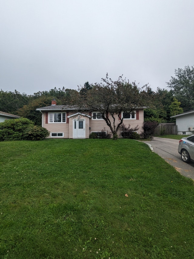 144A Mountain View Dr 3BR Forest Hills, Yard, Deck, H+L incl! Long