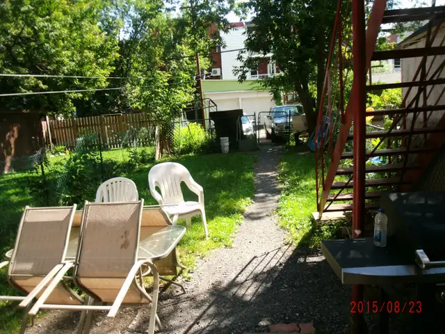 Photo 5