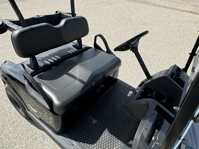 2025 EZGO Valor EX1 -Best Golf Cart,by Textron in ATVs in Vernon - Image 14