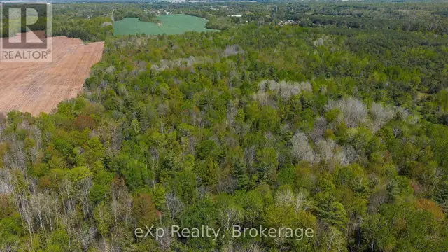 5716 COUNTY ROAD 9 Clearview, Ontario in Land for Sale in Oakville / Halton Region - Image 30