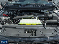 **WE WILL BEAT ANY FORD DEALER IN THE CITY** The 2025 F-150 is purpose-built from the ground up ---... (image 6)