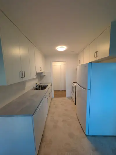 2 Bedroom Apartment for Rent - 169 South Moilliet Street