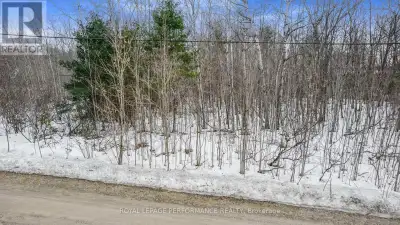 Exceptional building lot in premium idyllic setting directly across from Calabogie Peaks Ski Resort...