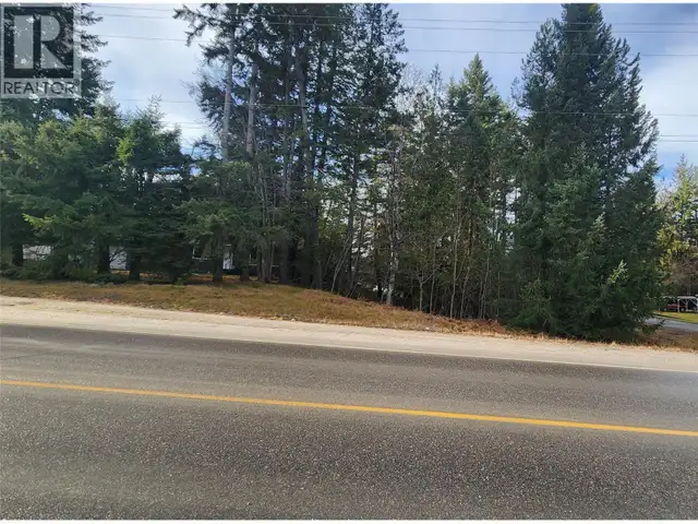 938 23 Highway Nakusp, British Columbia in Land for Sale in Nelson - Image 3
