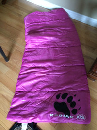 Sleeping bag 28" x 66" , good Clean condition $12