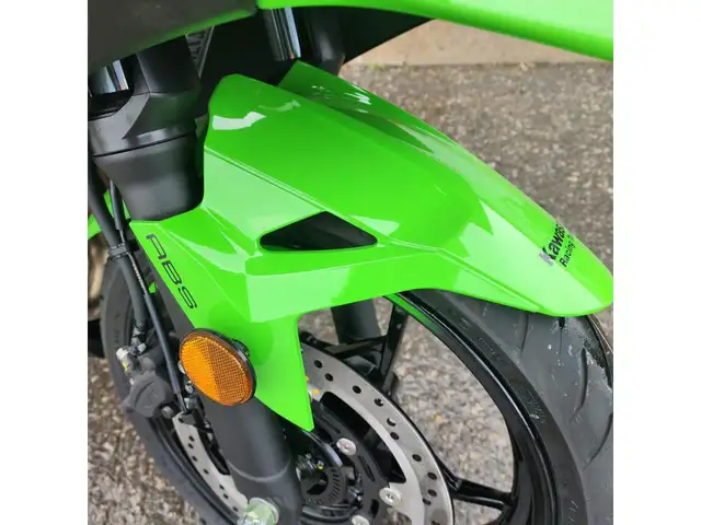 2025 Kawasaki Ninja 500 SE KRT Edition in Street, Cruisers & Choppers in Brantford - Image 21