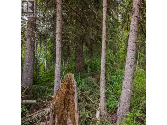 LOT 81 MULLIGAN DRIVE Horse Lake, British Columbia in Land for Sale in 100 Mile House - Image 9