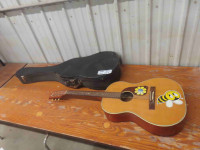 Raven Acoustic Guitar with Hard Case