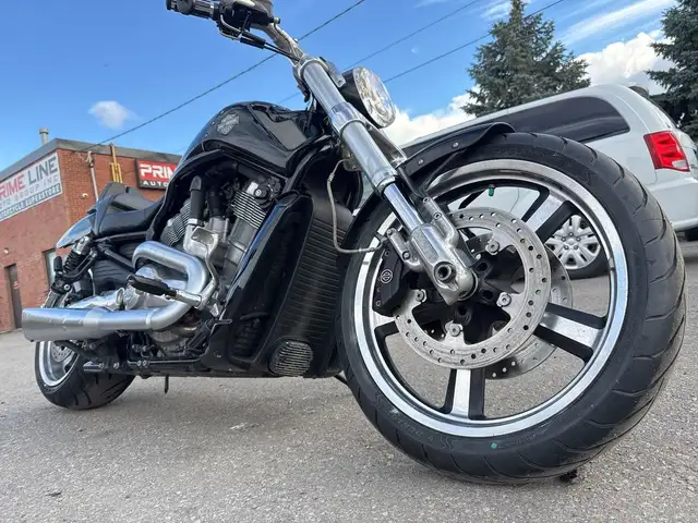 2009 Harley-Davidson V-Rod Muscle ~ V-ROD MUSCLE ~ 1250CC ~ LIQU in Street, Cruisers & Choppers in City of Toronto - Image 30